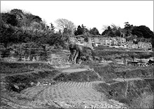 鎌倉・名越の切岸